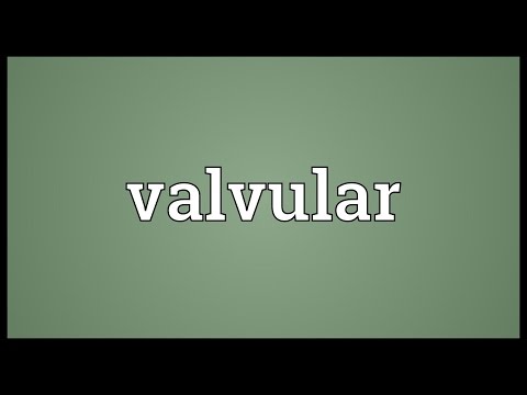 Header of valvular