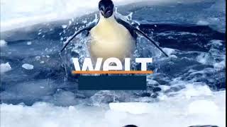 Welt Ident 4