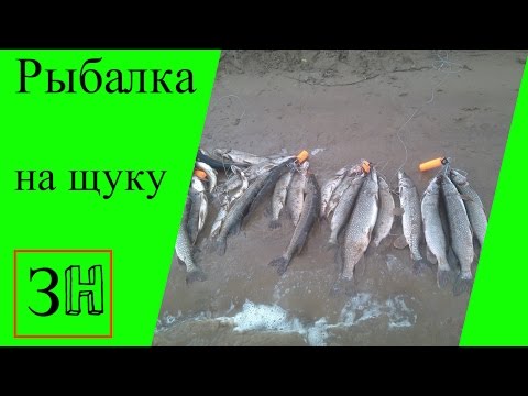 ловля щуки на ион 90 ловля щуки на ион 90