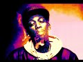 Purple Flowers Wiz Khalifa ft. Rick Ross and Drake Chopped and Screwed by DJ Apollo