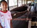 พิพิธภัณฑ์เรือ วัดยาง จ ลพบุ