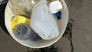 NL Harbour Beach plastic walk