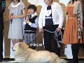 ブサかわ犬・わさおがユネスコ特別大使"犬"に任命！ 薬師丸ひろ子も祝福