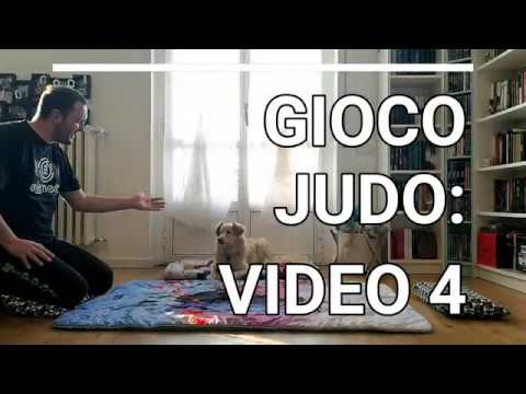 AQGIOCO JUDO: Video 4 AQGIOCO JUDO: Video 4