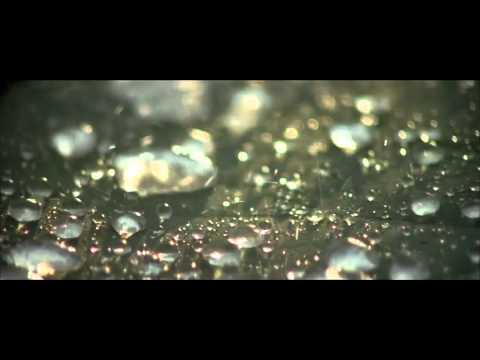 Jao Paakhi Bolo -- Shreya Ghoshal
