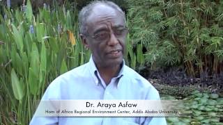 Global Perspectives: Science Policy Interface for the Environment