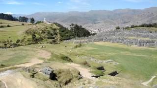 Llama Fight In Cusco