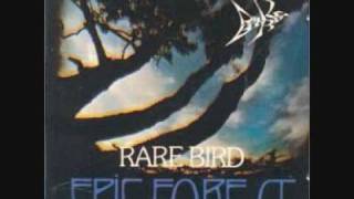 Watch Rare Bird Title No 1 Again birdman video