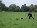 entrainement chouchen