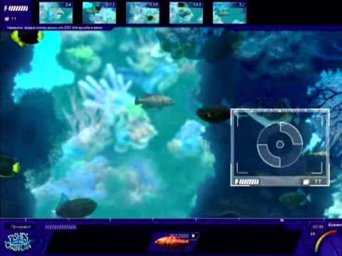 Caribbean sea fishes game download