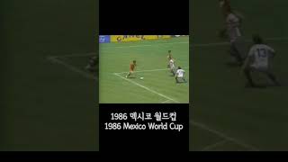 2sNMWfnNTMk Video Image