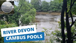 River Devon And Cambus Pools