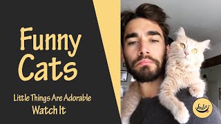 Funny Cats little things are adorable Watch it ♥♥ (New Videos)