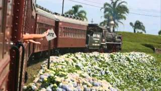 Cedct O Trenzinho Do Caipira Boca Livre.flv