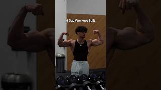 4 Day Workout Routine