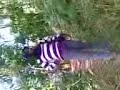 Abg Mesum Di Kebun images Abg Mesum Di Kebun
