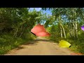 Paru-parong Bukid - Nursery Rhymes | Filipino Folk Song for Children (Karaoke)