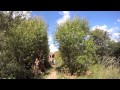 Video Pedales de Leon ( Picos de Europa )