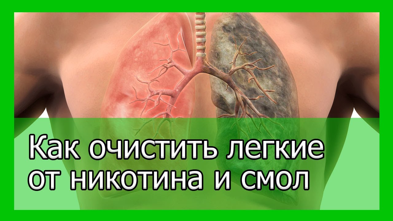 Очищение организм легкие в домашних условиях