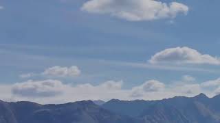 Zorba The Mind Live Stream 4K Video