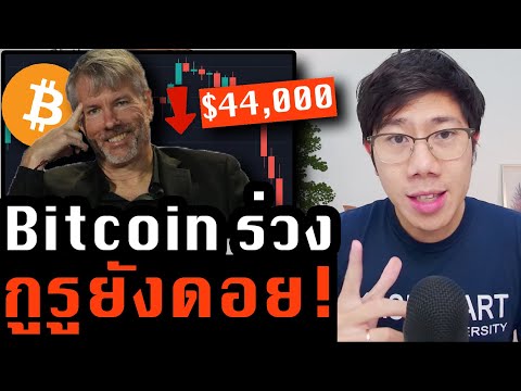 สินทรัพย์เสี่ยงโดนเท! Bitcoin ไม่รอด กูรูยังมั่นใจช้อน และดอยเรียบร้อย..