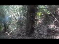 HAV 動画19a