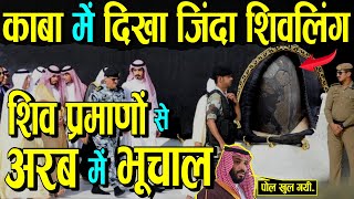 हल दग दखकर जद मककशवर शवलग ,शव परमण स हल अरब Arab Shivling