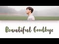 view Beautiful Goodbye