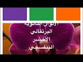 عناصر التصميم