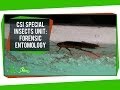 CSI Special Insects Unit: Forensic Entomology