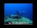 wakatobi dhiumpa gara na lansa monea with lirik