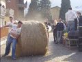 Divertente Fuma Vir Le Bale Te Squarteca Veva Divertente Fuma Vir Le Bale Te Squarteca Veva