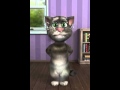 The swag song Talking Tom jus reign