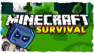 Minecraft Survival - EPIC STORAGE ROOM! (Ep. 162)