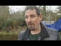 Chimps comfort dying female