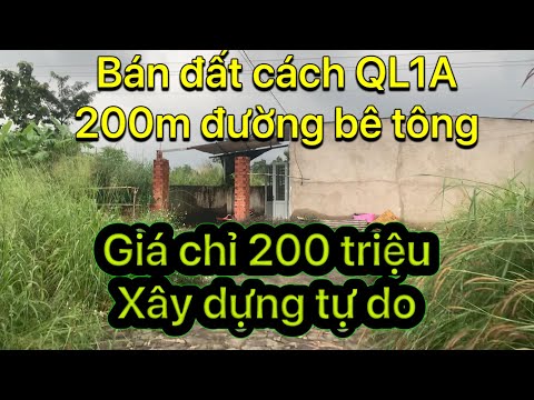 Nhà Đất Đồng Nai 247 : Bán đất giá rẻ 200 triệu đường bê tông cách QL1A đúng 200m xây dựng tự do