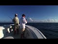 Yellowfin Yachts
