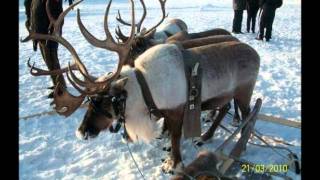 Курс доллара новый уренгой