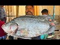 KASIMEDU 🔥 SPEED SELVAM | BIG BLACK KODUVA FISH CUTTING VIDEO | IN KASIMEDU | FF CUTTING 🔪