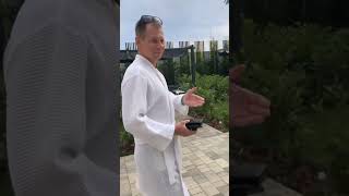 Отель Джамайка Лучшее Место В Анапе