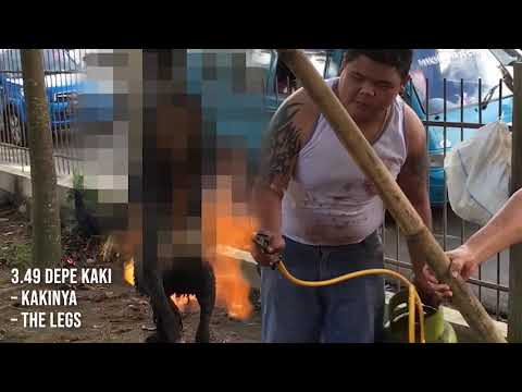 The House That Hung Itself Video