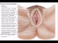 فلم فض غشاء البكاره سكس +18