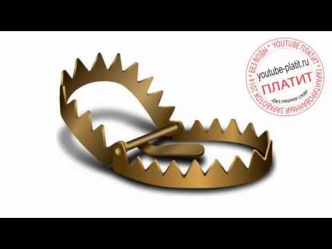 Выкройки одежда для французских бульдог Выкройки одежда для французских бульдог