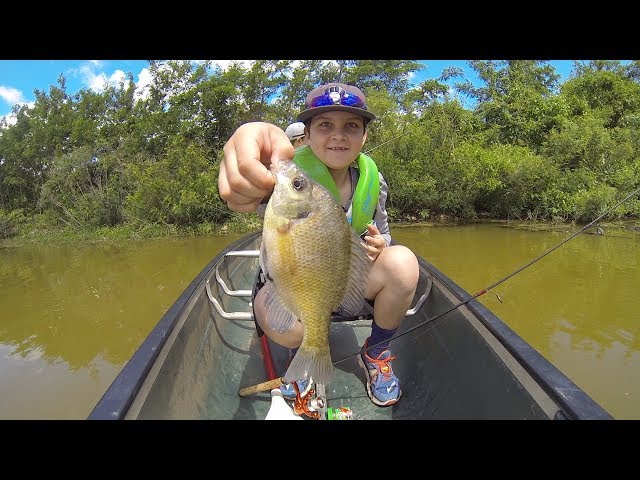 Watch Sunfish Research in Oklahoma on YouTube.