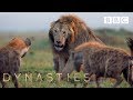 Hyena pack attacks lion | FULL CLIP - Dynasties