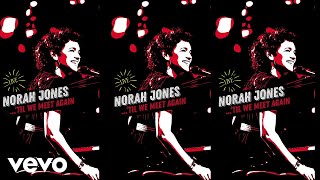 Norah Jones - I've Got To See You Again (Live / Visualizer)