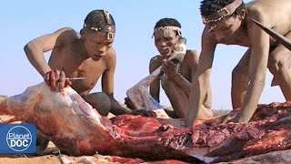 Hunters and Predators of the Planet - Part 4 Hunters and Predators of the Planet - Part 4
