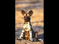 lost you in the canyon - marc cohn
