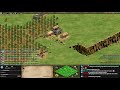 The Longest AoE2 Game Ever!