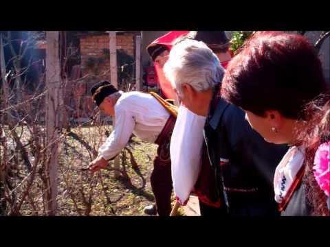 Watch Trifon Zarezan 2011 Grad Koinare, Bulgaria